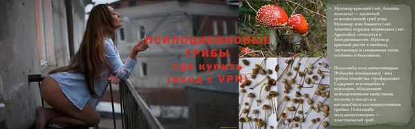 mdpv Зеленодольск