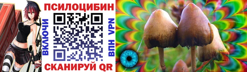 Галлюциногенные грибы Magic Shrooms  Полесск 