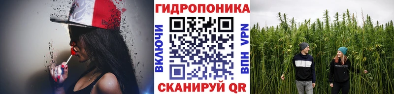 Марихуана гибрид  купить наркоту  Полесск 